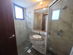 Tanglin View (D3), Condominium #566811141